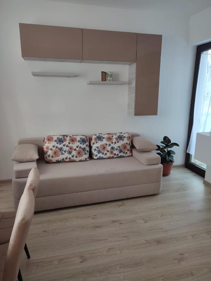 Marina'S House Apartment Ghimbav Exterior foto